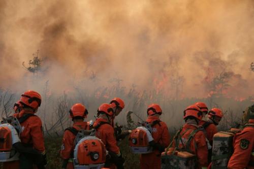 ���������һҳ