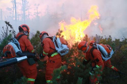 ���������һҳ