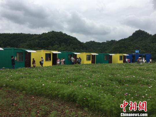 ����ƺ��������կ������������ ����Ө ��