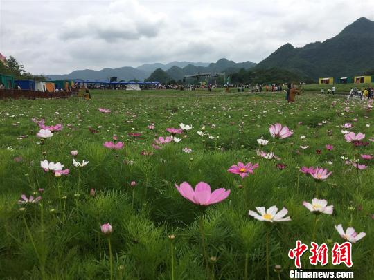 ���յ�¶��󳡷����ƽ� ����Ө ��