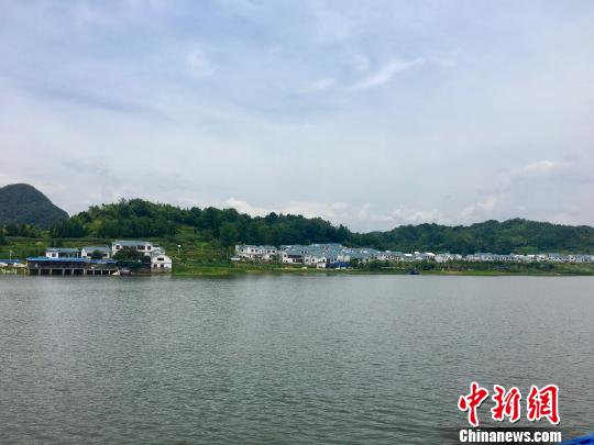 ���ݺ�������ɫ˼ά����������