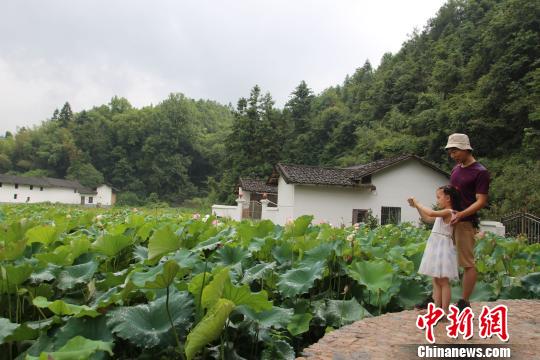 游客在塘前乡荷塘边拍照留念。 陈龙山 摄