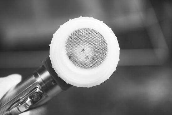 ���������һҳ