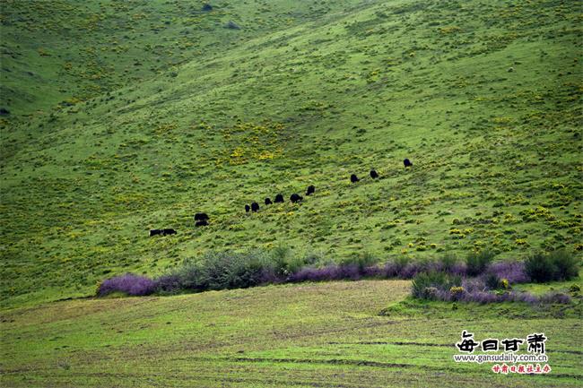 ���������һҳ