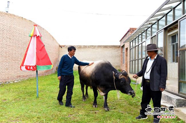 ���������һҳ