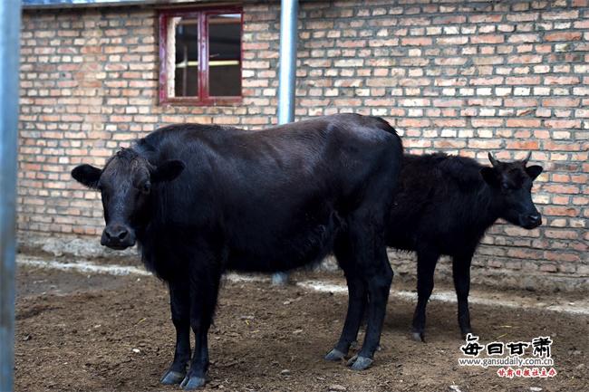 ���������һҳ