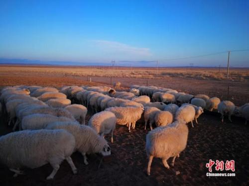 ���������һҳ