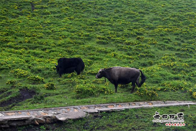 ���������һҳ