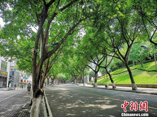 ͼΪ�ڷ����С����������ֵ���֮�Ƶ���ɽ��·�������� ��