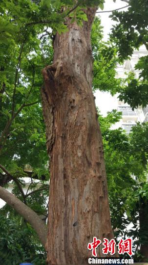 ����ƻ������߽�8�ס�����ʿ�� ��