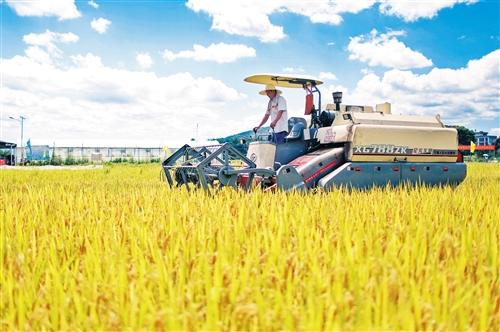 ���������һҳ