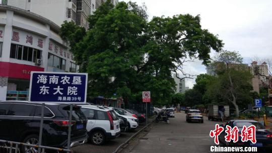 λ�ں����к���·�ϵ�һ�������60��ĺ��ϻƻ�����������������ʿ�� ��