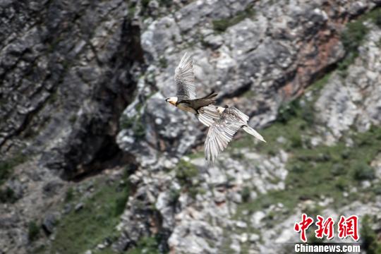 ͼΪ��أ�ա�������Ǭ ��