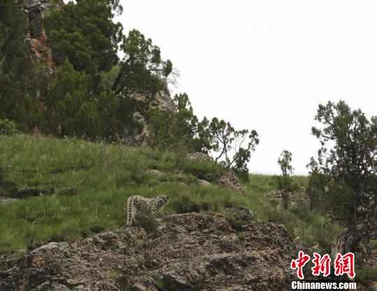 ����Ұ������뾵������������Ȼ�۲��