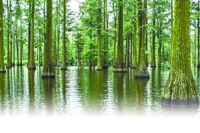 ���������һҳ