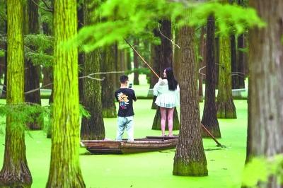 ���������һҳ