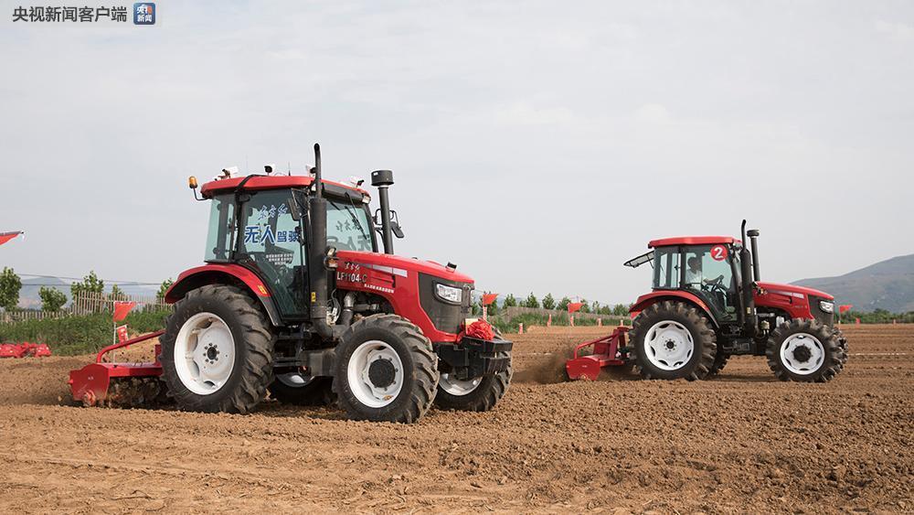 ���������һҳ