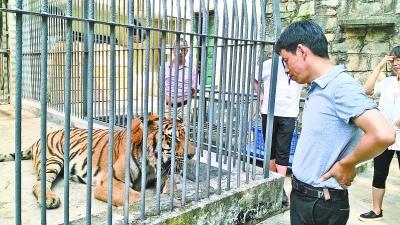 ���������һҳ