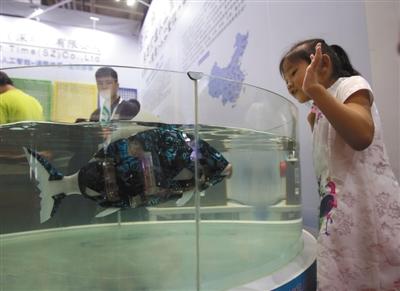 ���������һҳ