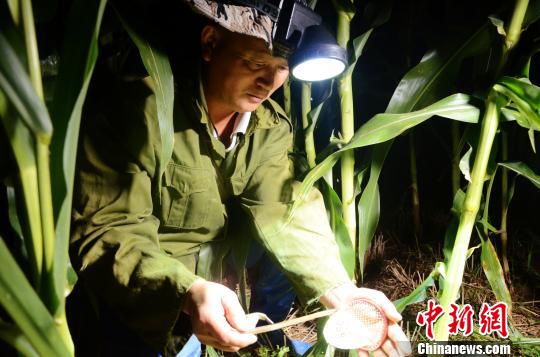 ͼΪ������ӭϲ׼������Ž����������ѧ�� ��