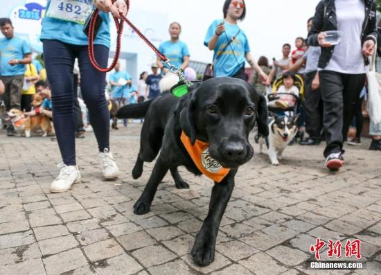 ���������һҳ