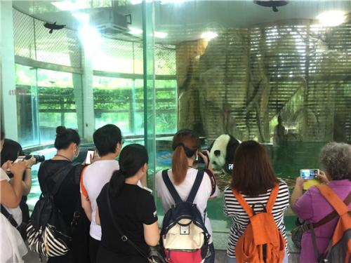 ���������һҳ