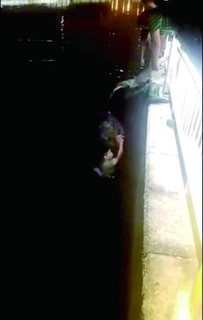 ���������һҳ