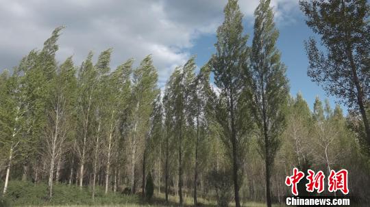 78��ĺ���а���������ˮĥ������������ ��