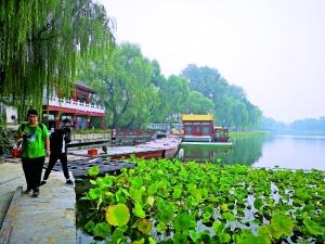 ���������һҳ