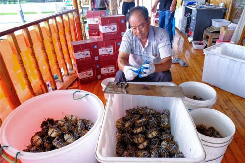 ���������һҳ