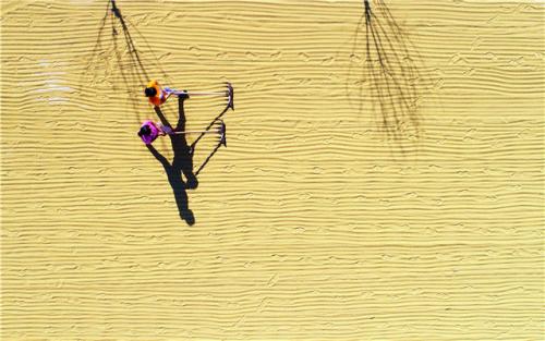 ���������һҳ