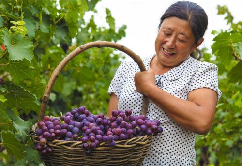 ���������һҳ