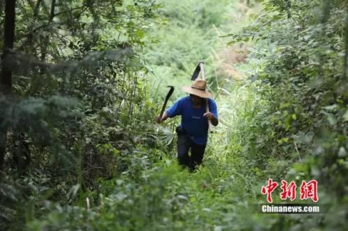 点击进入下一页