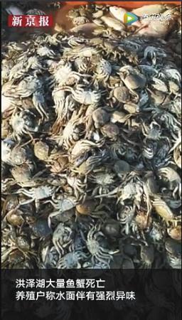 ���������һҳ