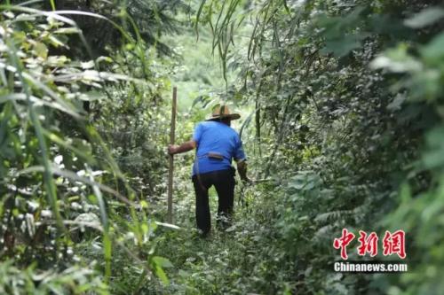 点击进入下一页