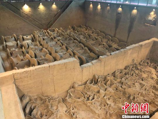 晋国博物馆选取了具有代表性的四组晋侯及夫人墓葬和三座车马坑予以展示,其中包括我国目前发现的西周时期随葬车马最多、规模,的车马坑。 李庭耀 摄