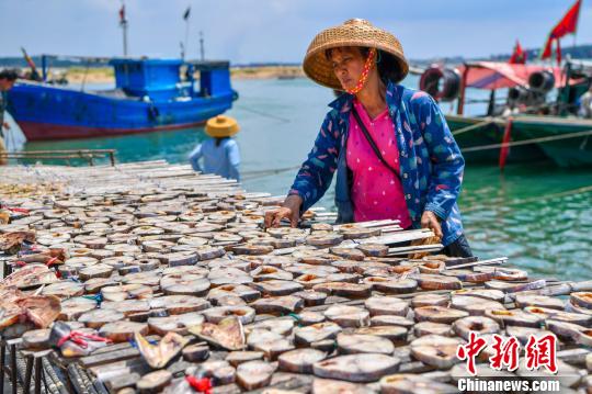 渔民在昌化港晾晒海产品。 骆云飞 摄