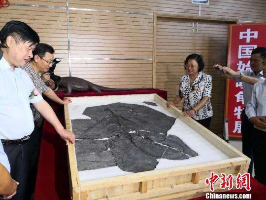 ͼΪ���й�ʼ๹ꡱ27�������ǣ��빫�ڼ��档�������� ��