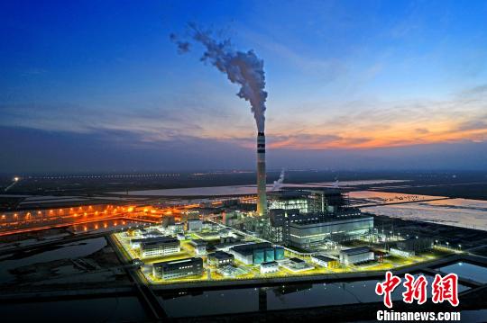 ҹĻ�µı������貶�Ŀ���������� ��