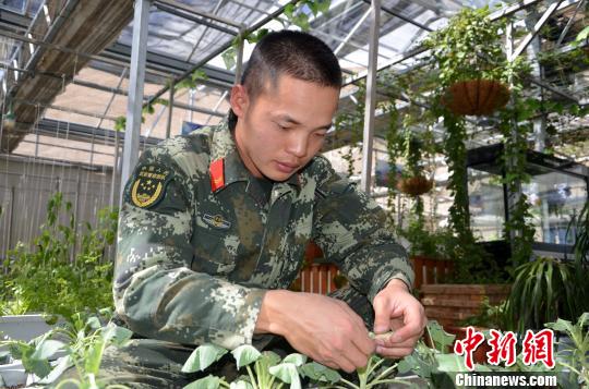 ����ѩɽ�ϵ���ɫ��԰�ԡ�