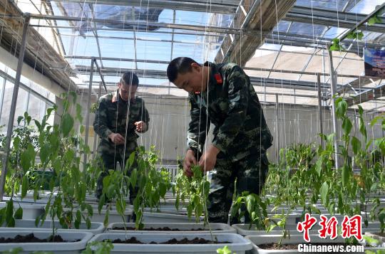 ͼΪ���ٱ��ǳ�Ϊ���ƶˡ��ϵ���Ȼ���ɡ�����ɯɯ ��