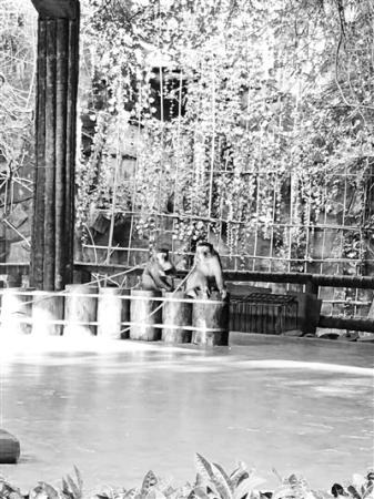 ���������һҳ