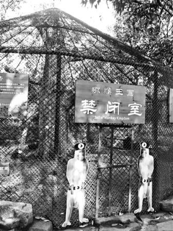 ���������һҳ