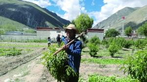 ���������һҳ