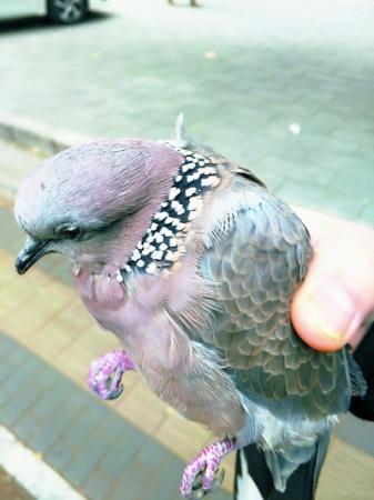 点击进入下一页