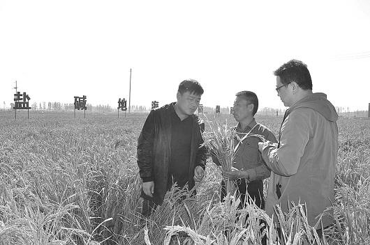 ���������һҳ