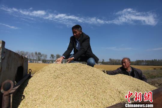 ����ũ��˵��Ԥ�ƽ���ˮ���ܲ����ɴ�2.5��֣�Ķ�����ɴ�630������ϵ��� ��