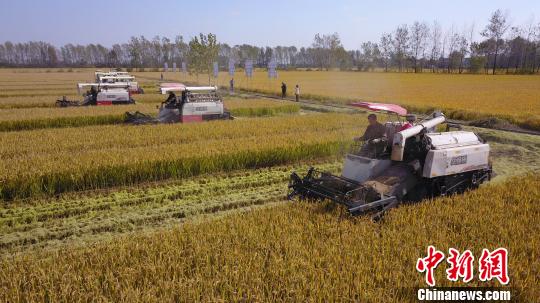 11��2�գ������������������Ķ���������ո���ϵ��� ��