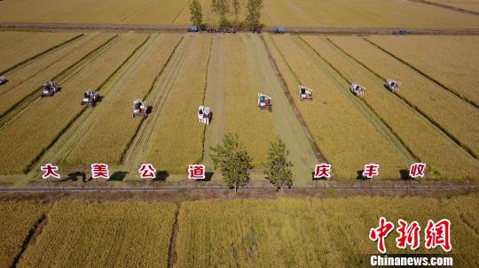 ������Ķ���������ո��Ƶ���չ���շ��ջ���