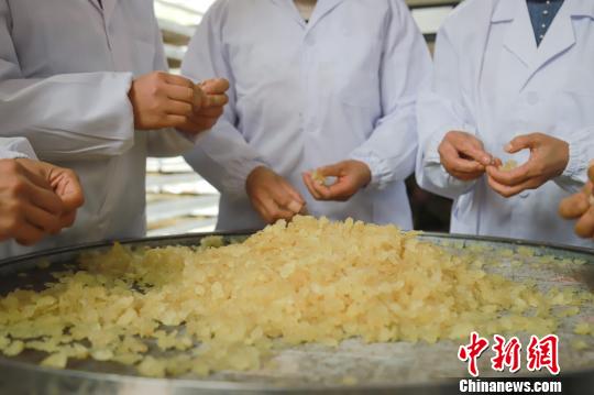 �����ڷּ��ɵ����Ǿ��������� ��